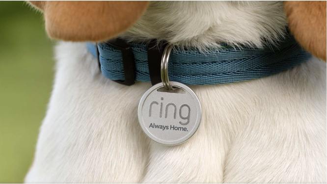 ring pet tag